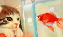 搞笑空间签名档