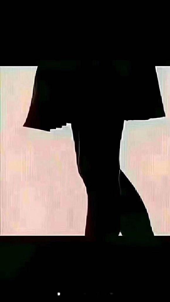 人生的辉煌总是以她进取的精神来表现