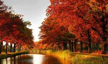 中秋提前问候短信同事