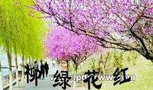 描写春天桃花的诗句