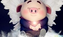 2019猪年祝福语 2019过年祝福的话语