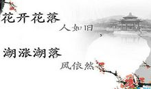 表达心情的文雅伤感句子