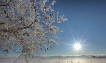 描写冬天的景色的诗句