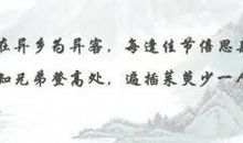 重阳节的诗句古诗