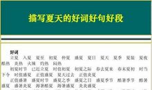 描写夏天校园的好段