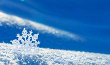 与雪有关的诗句