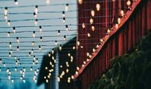 人生感悟的句子:现在的生活不是我想要的却是我自找的