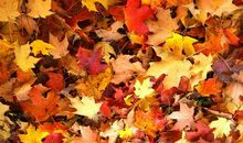 表示心烦的经典句子