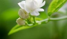 睡不着很心烦的句子说说心情短语