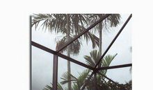柠檬心酸的句子