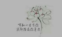 唯美的古风句子大全