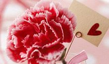 人要懂得感恩的句子