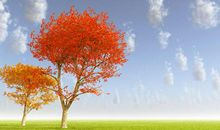 周一短信客户问候中午