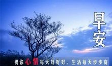 说说心情短语2019