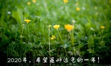 写给2020年自己的句子 新的一年送给自己的话