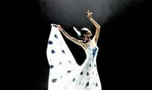 形容舞姿优美的句子