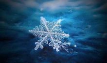 跟雪有关的优美句子