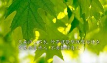 最经典的句子：我抱起砖头就没法抱你，放下砖头就没法养你