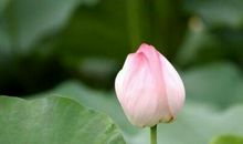 《平凡的世界》哲理好句子 《平凡的世界》最有哲理的话