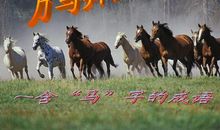 马的成语大全