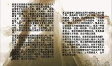 柏拉图式爱情名言大全