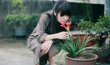 伤感句子超短 简短而又伤心的话