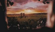 怦然心动经典句子