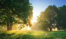 描写夏天早晨的好段