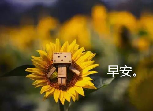 但是在我的心里