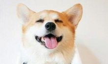 幽默风趣小短句 幽默又不失风趣的说说