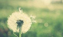 美得让人心碎的的诗句句子