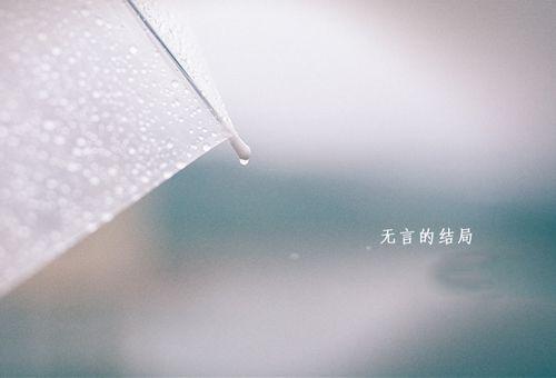 唯美到心碎的古风句子英语 0