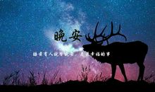 晚安句子大全