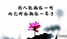 独立的女人的人生格言