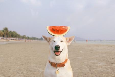 生命就像一束花