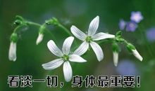 看淡一切身体最重要的说说