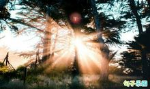 勉励自己不断进步的说说 鼓励自己的正能量说说