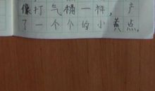 描写蚕宝宝的句子