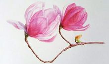 暗指开心的句子