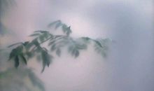 感恩节描写母爱的句子