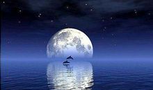 有关描写月的诗句