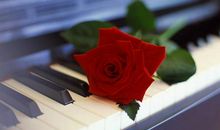 暗恋一个女生该发什么说说