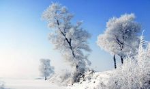 描写冬天优美的比喻句