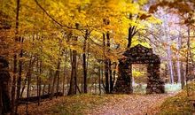 描写秋天凄凉的好段