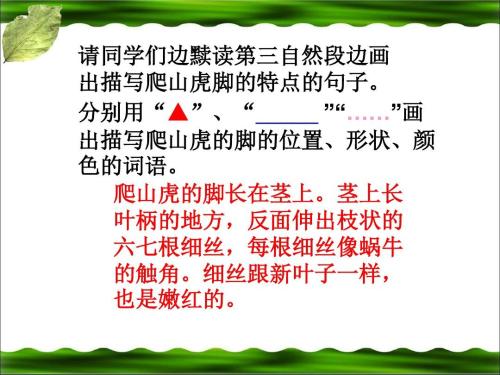 关于爬虫