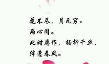 向男生古风表白的句子