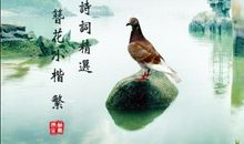 古代优美的爱情诗句