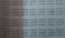 描写景色美的成语