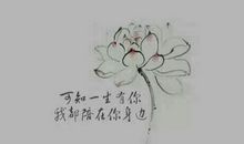 唯美爱情誓言古风句子