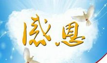 关于感恩的抒情句子